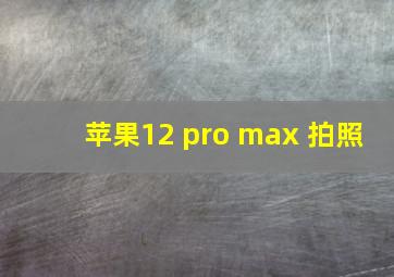 苹果12 pro max 拍照